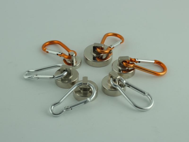 Carabiner Magnets